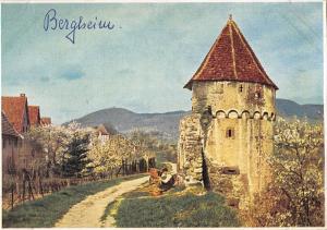 BR51387 An der ringmauer Bergheim Germany