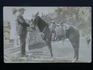 USA PRESIDENT COOLIDGE Gets Acquainted with his New Horse c1920's RP Postcard 