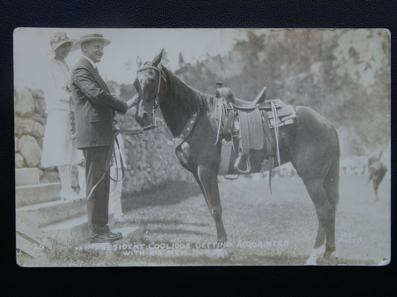 USA PRESIDENT COOLIDGE Gets Acquainted with his New Horse c1920's RP Postcard