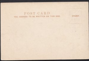London Postcard - The Duke of York's Column, London   1861