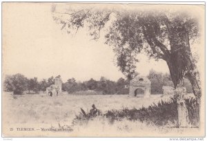 Marabout En Ruines, Tlemcen, Algeria, Africa, 1900-1910s