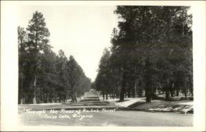 Jacob Lake AZ Kaibab Forest Real Photo Postcard