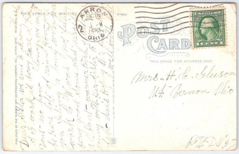 1920 Summit Beach Park Akron Ohio Midway Ferris Wheel Roller Coaster Postcard