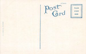 H84/ Orlando Florida Postcard c1915 Birdseye View Stores Homes 71