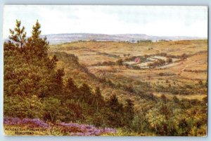 Surrey England Postcard Across The Punchbowl Hindhead 1958 Vintage Posted