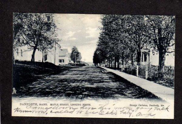 ME Maple St Danforth Maine Postcard UDB Tuck & Sons 1907 Postcard Carte Postale