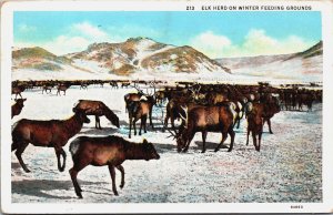 Elk Herd On Winter Feeding Grounds Colorado Linen Postcard C096