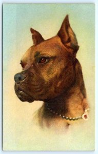 BOXER - Dog Portrait  Stehli #160 Switzerland Postcard