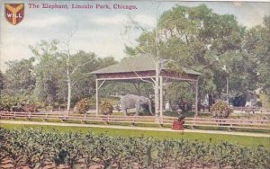 Chicago Lincoln Park Elephant