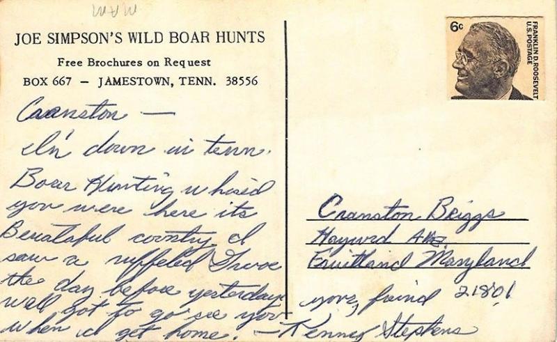 Jamestown TN Joe Simpson's Wild Boar Hunts 1966 Advertising Postcard