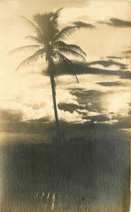 Hawaii Palm Sunset 1920s RPPC Photo Postcard 20-9151