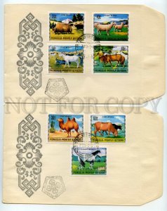 492615 MONGOLIA 1971 fauna pets animal husbandry goats sheep cows camels SET FDC