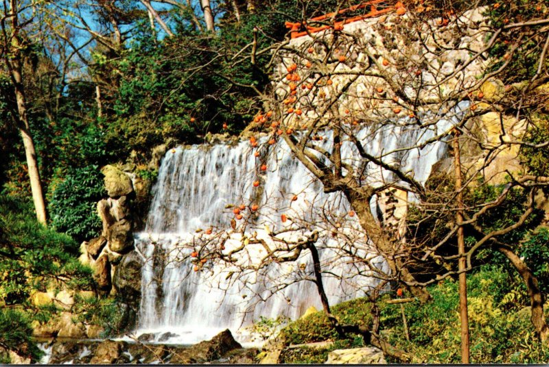 Japan Tokyo Japanese Garden Restaurant Waterfall