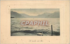 Old Postcard Dawn Swan Lake