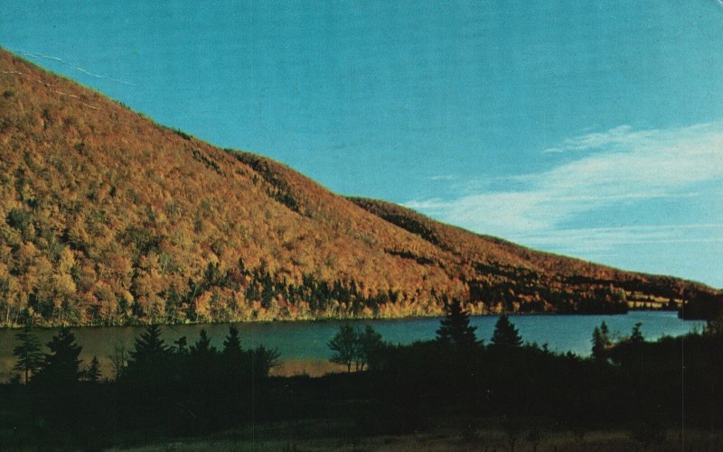 Postcard Golden Reflections Of Lake O'law Placid Waters Cape Breton Nova Scotia