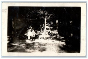 1910 Beaver Park Deer Animals Cedar Rapids Iowa IA RPPC Photo Antique Postcard