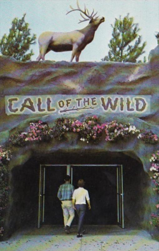 Michigan Gaylord Entrance To Call Of The Wild Museum