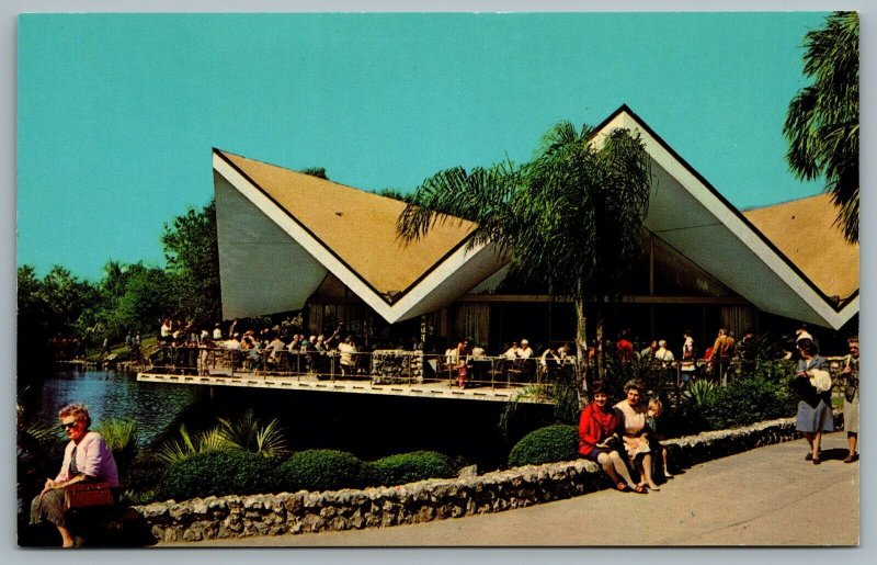 Postcard Tampa Florida c1968 Hospitality House At Beautiful Busch Gardens Unused