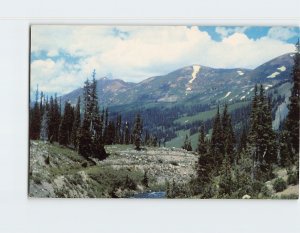 Postcard Beautiful Scenery North of Schofield Pass Colorado USA