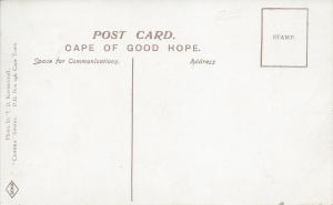 Zulu Girl, Cape of Good Hope, Early Postcard, Unused