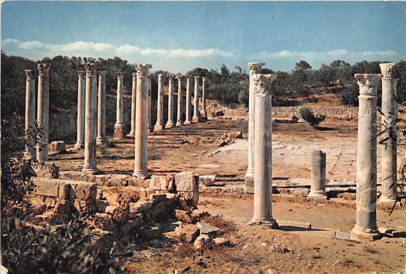 BR21328 Ruins of Salamis Cyprus