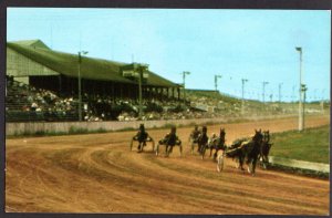 PEI CHARLOTTETOWN The Kentucky of Canada, Horse Racing, Old Home Week - Chrome