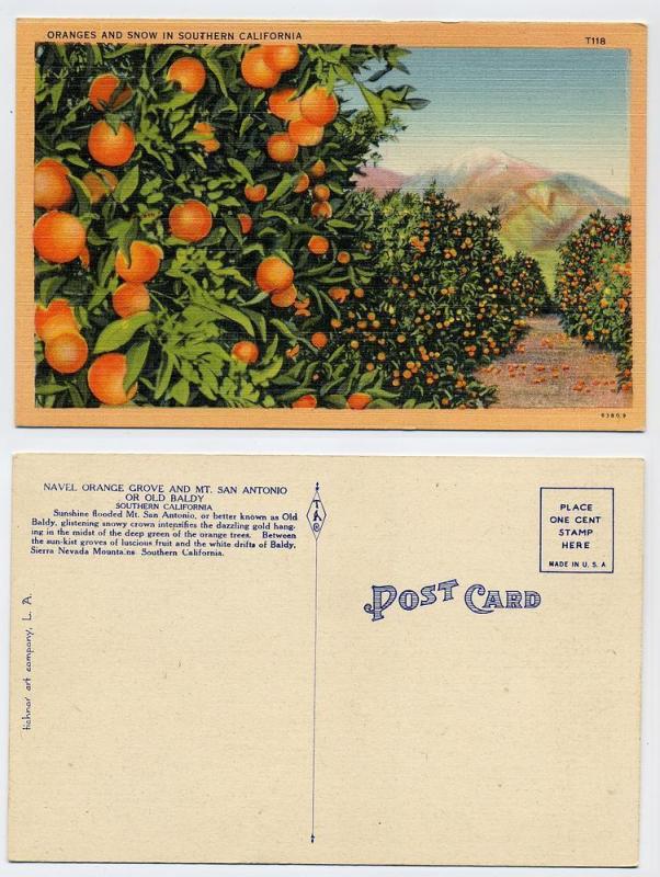 (44) Oranges and Snow in Southern California