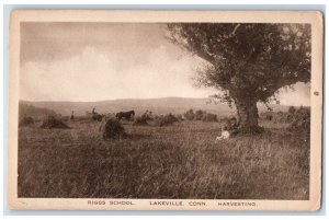 c1940 Riggs School Farm Horse Trees Lakeville Connecticut CT Harvesting Postcard