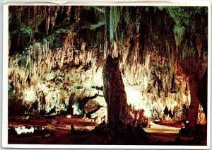 M-104792 Carlsbad Caverns National Park Carlsbad New Mexico USA