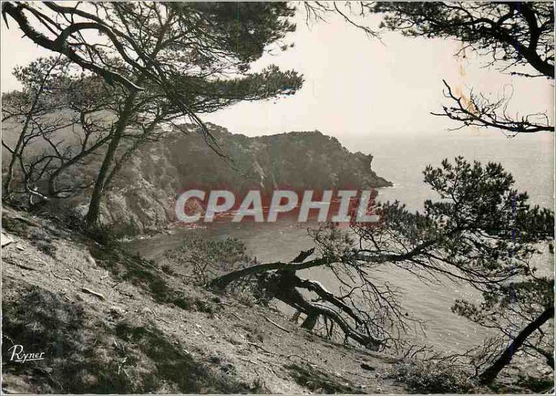 Postcard Modern Porquerolles The Golden Isles Creek of Oustaou of Dieou