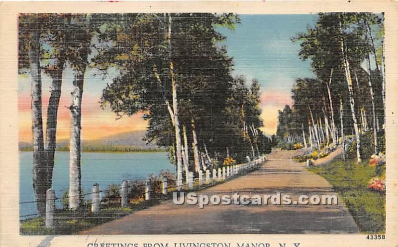 Greetings from - Livingston Manor, New York