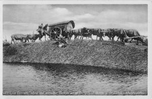 Montevideo Uruguay Ox Carriage Road Sculpture Real Photo Antique Postcard K69951