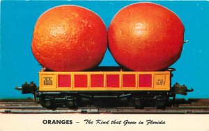 1950s Florida Oranges Exaggeration Teich FK-17 Postcard  22-11355