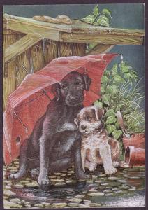 Dogs unused postcard