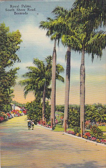 Bermuda Royal Palms South Shore Road