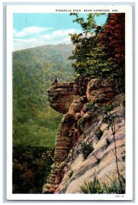 Harrison Arkansas AR Postcard Pinnacle Rock Scenic View Mountains 1935 Vintage