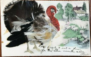 THANKSGIVING GREETINGS~GOBBLER WITH REAL FEATHERS~POSTCARD