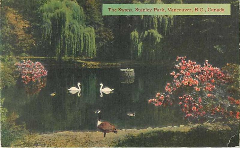 The Swans, Stanley Park Vancouver BC British Columbia Linen