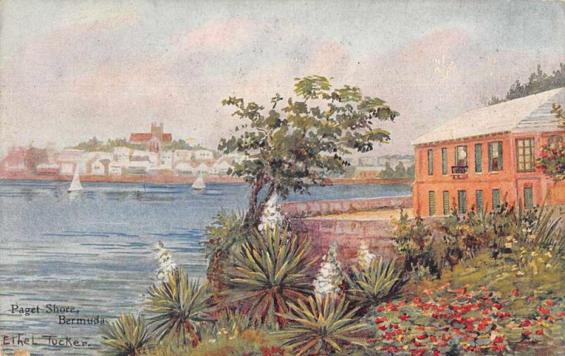 Paget Shore Bermuda Water Front Vintage Postcard JE229122