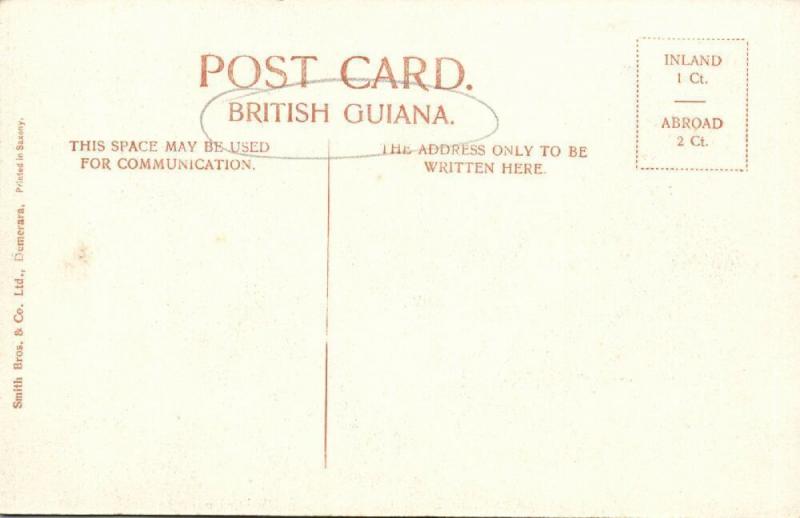 british guiana, GEORGETOWN DEMERARA, Government House from Carmichael Street