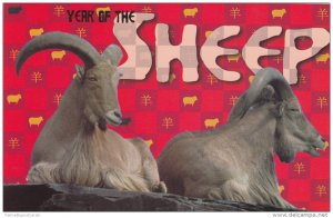ADV: 2 Large Rams, Year of the Sheep, Chinese Zodiac, 2003