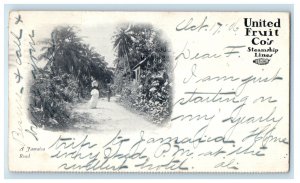 1906 A Jamaica Road United Fruit Co's Steamship Lines PMC Posted Postcard 