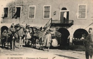 Lebanon Beyrouth Chameaux de Transport Vintage Postcard 03.88