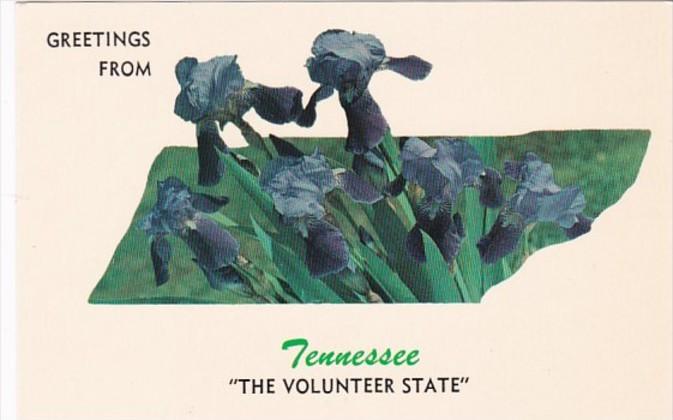 Greetings From Tennessee The Volunteer State