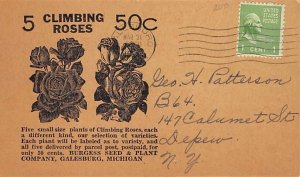 Five climbing roses $0.50 Nursery Unused 