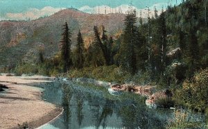 1920's Russian River at Russian River Heights, California Postcard P127