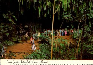 Hawaii Island Of Kauai Fern Frotto