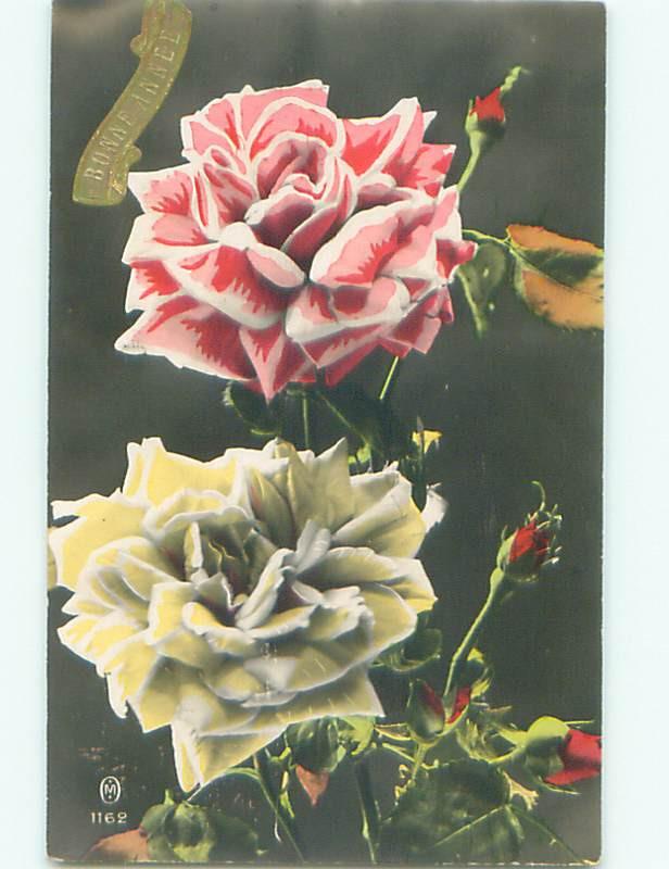 tinted rppc c1910 BEAUTIFUL FLOWERS AC9299