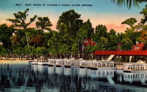 Florida Silver Springs Glass Bottom Boats At Boat Docks 1945