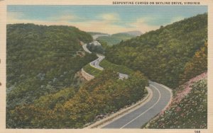 VIRGINIA, 30-40s ; Serpentine Curves on Skyline Drive